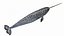 Narwhal Static 3D