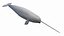 Narwhal Static 3D