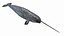Narwhal Static 3D