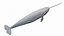 Narwhal Static 3D