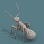 Paquete de iconos isométricos de animales de arte 3d de baja poli 11