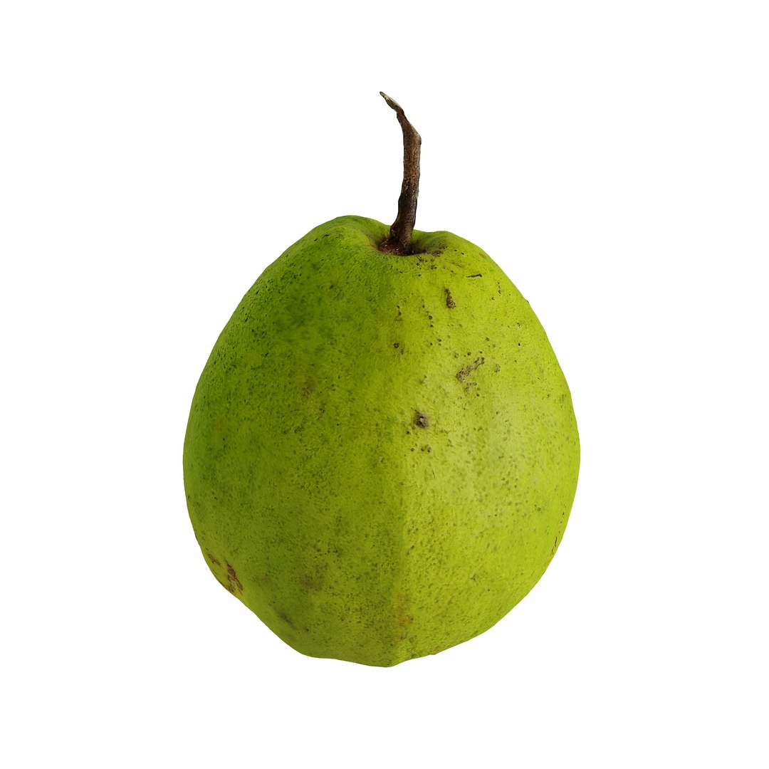 3D model Guava https://p.turbosquid.com/ts-thumb/U2/ABCJc5/He/view3/jpg/1684063520/1920x1080/fit_q87/0c02d70541d26f96417cccb8d84409fb825610af/view3.jpg