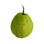 Guava
