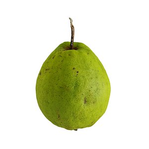 3D model Guava