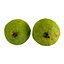 Guava