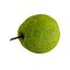 Guava