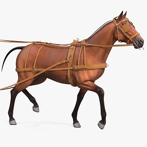 3D horse drawn leather driving model