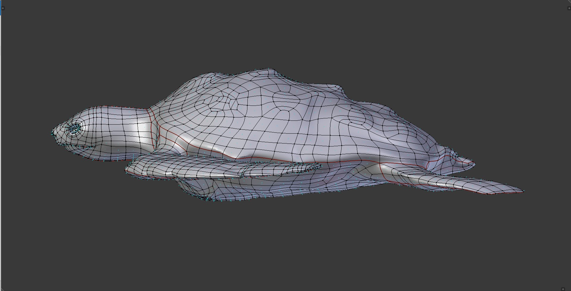 loggerhead sea turtle 3d model https://p.turbosquid.com/ts-thumb/U2/bYtSMY/iZOGfoFl/turtle_wire_frame_laterale/png/1468353683/1920x1080/fit_q87/390abb217eb2a5a4cbab2567c9744f48ec20f8ca/turtle_wire_frame_laterale.jpg
