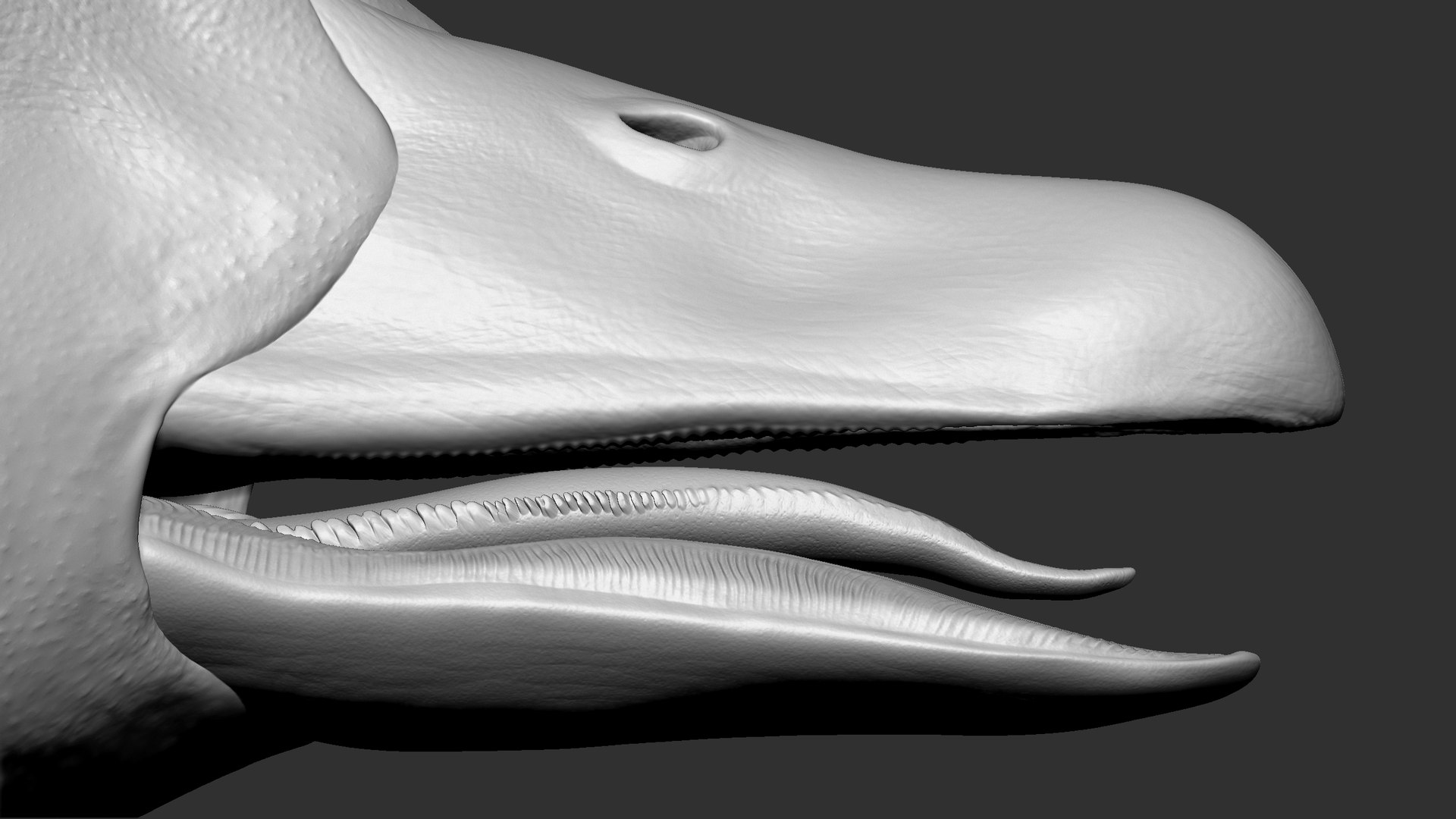 BabyDuckDuckling UDIM 3D model https://p.turbosquid.com/ts-thumb/U2/dY8BJc/BV/3/jpg/1621464300/1920x1080/fit_q87/cdf7cc51cd442536cc4a853b48e40dcc55eb8dfa/3.jpg