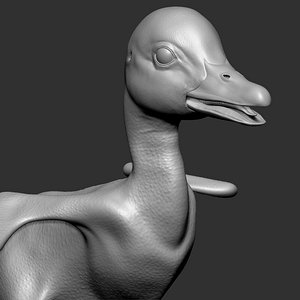 Baby Duck Duckling UDIM 3D model