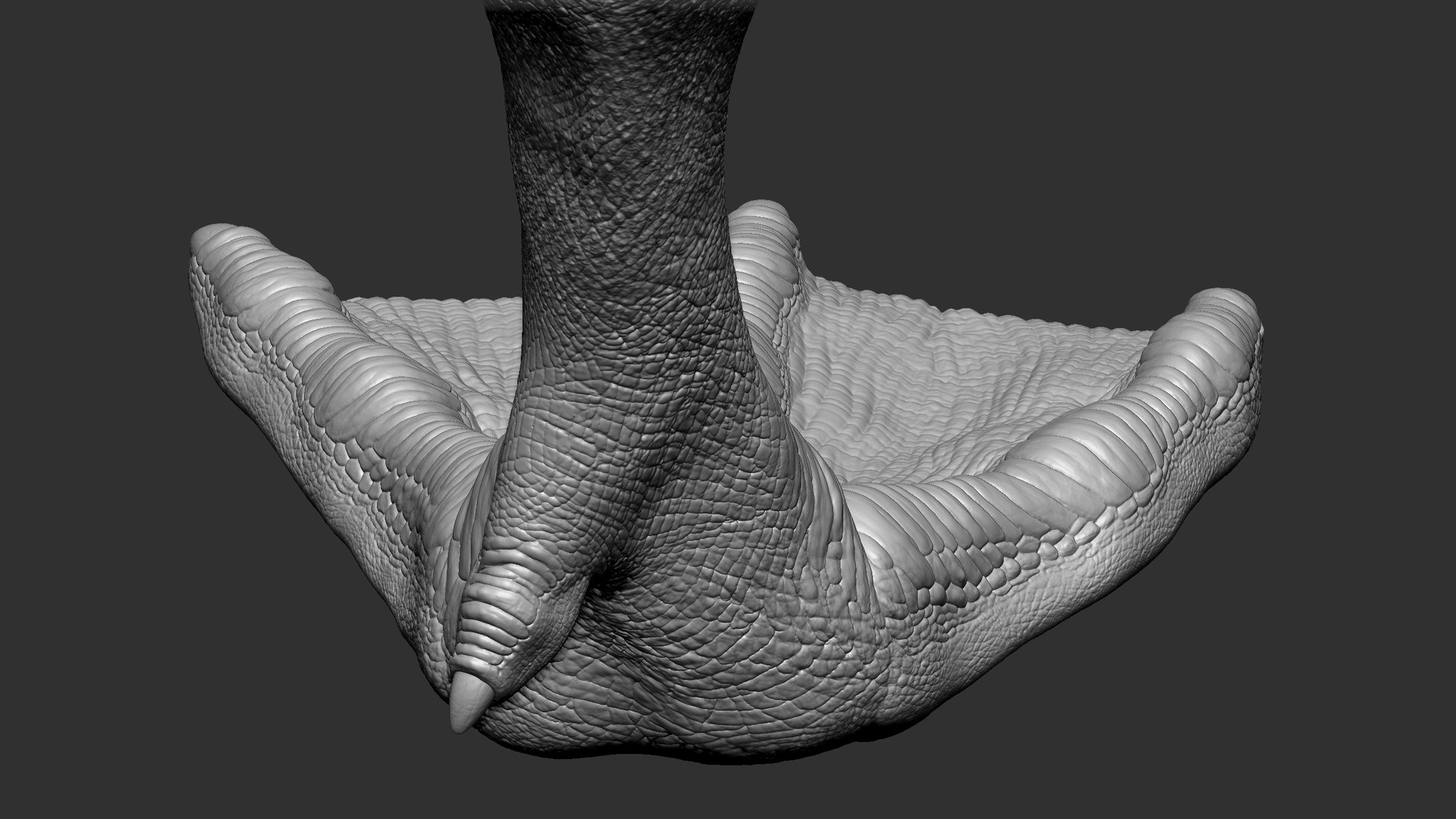 BabyDuckDuckling UDIM 3D model https://p.turbosquid.com/ts-thumb/U2/dY8BJc/i3/18/jpg/1621464300/1920x1080/fit_q87/70c72e8178510b26484a9ec1f1db435307e90c27/18.jpg