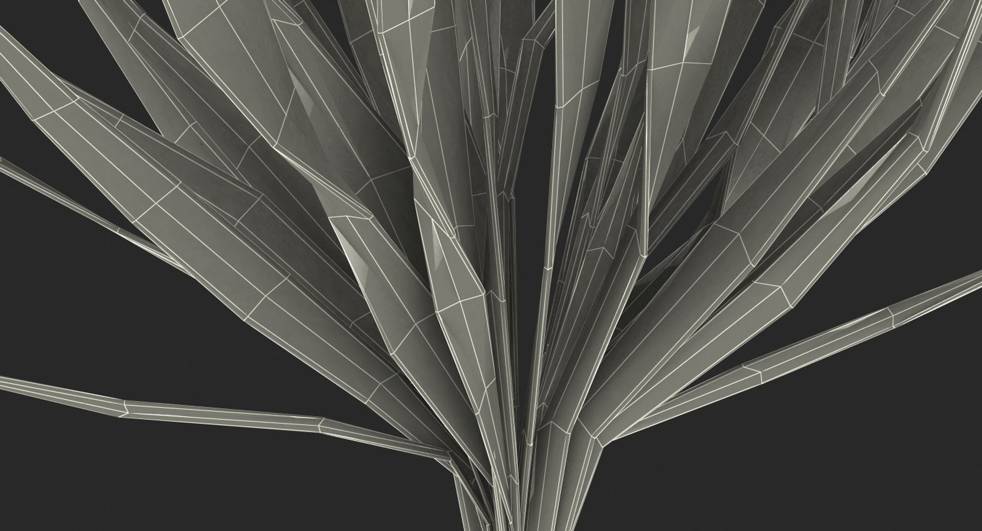 eel aquarium grass 3D model https://p.turbosquid.com/ts-thumb/U2/djVoxd/YRhEoOqB/eelaquariumgrassvray3dmodel015/jpg/1526367327/1920x1080/fit_q87/32a1ea9ef729d7cd9d2a80b5a2f2428a6194895a/eelaquariumgrassvray3dmodel015.jpg