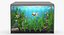 Anguille herbe d'aquarium