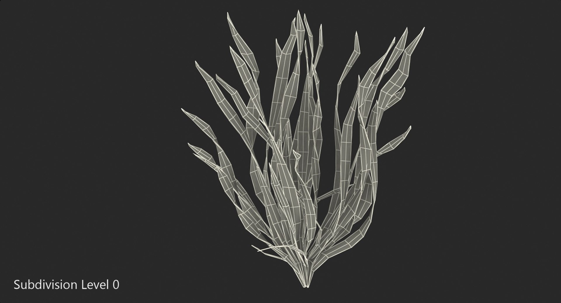 eel aquarium grass 3D model https://p.turbosquid.com/ts-thumb/U2/djVoxd/zlrDmaMs/eelaquariumgrassvray3dmodel008/jpg/1526367300/1920x1080/fit_q87/5601ddc2fe1f7ea7cb03bd3f215983d84c290cda/eelaquariumgrassvray3dmodel008.jpg