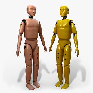 Crash Test Dummy
