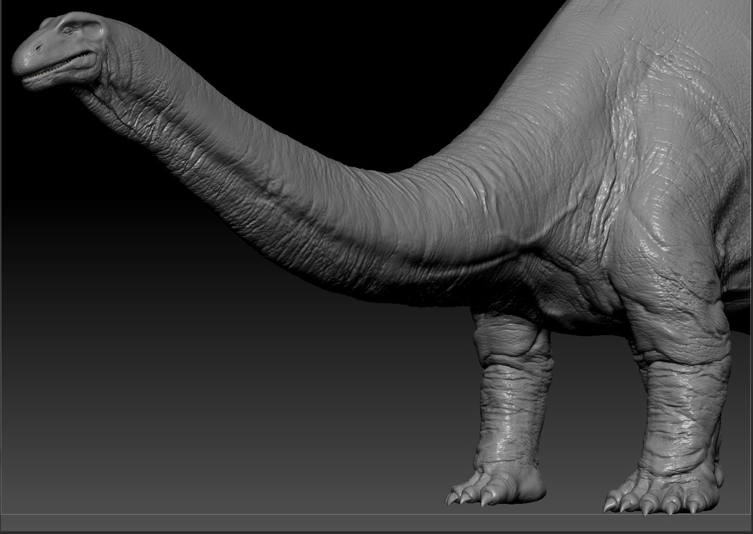 dinosaurus zbrush 3d max https://p.turbosquid.com/ts-thumb/U2/pMmJA5/nLvCcRGd/bronto_zb_screen_06/jpg/1369141551/1920x1080/fit_q87/1c8a5b81a3cb068a19d456e8f3d0620954db9469/bronto_zb_screen_06.jpg