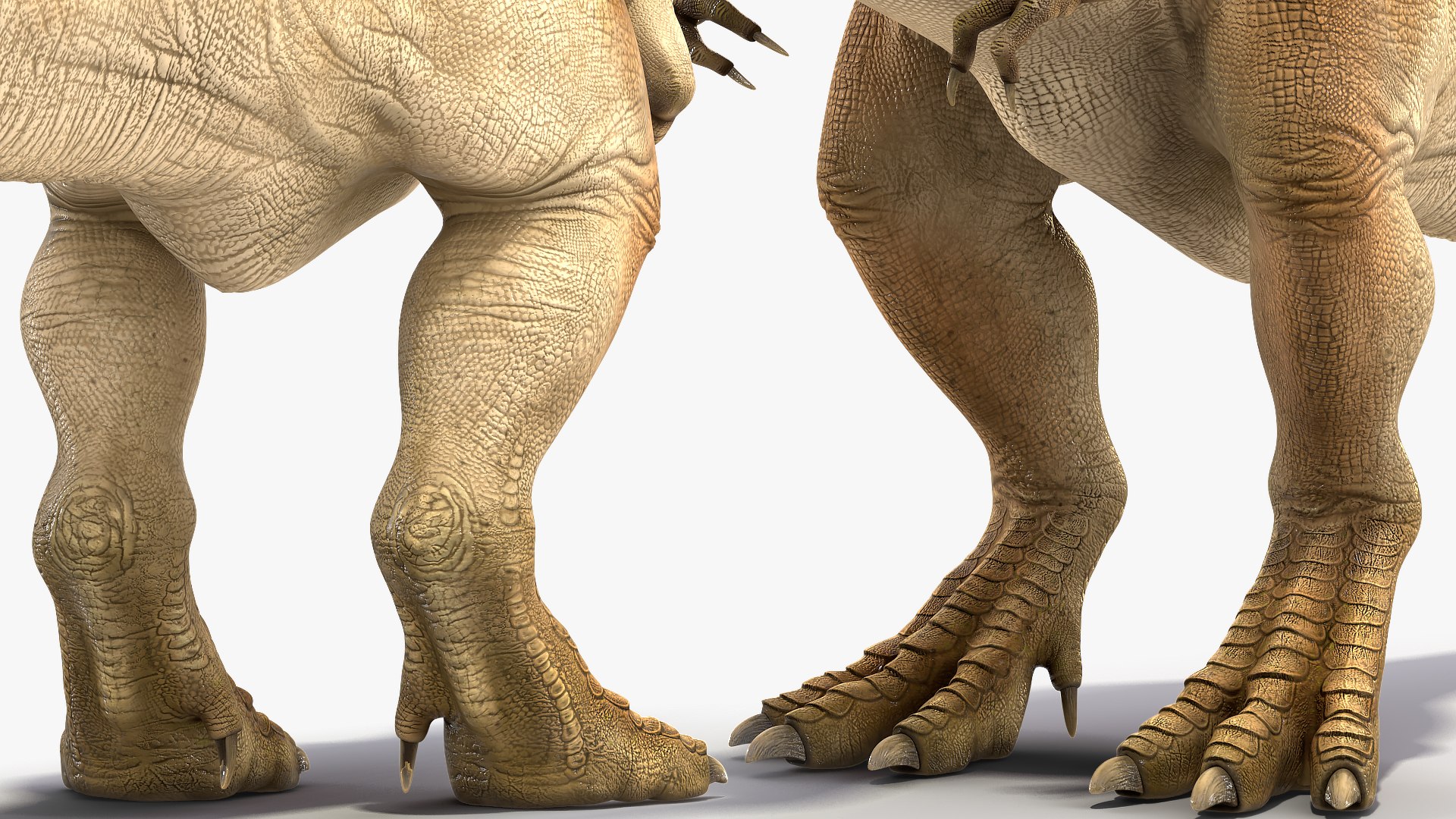 3D tyrannosaurus rex animal https://p.turbosquid.com/ts-thumb/U3/0Zl7ru/4w4no08R/animatedtyrannosaurusrexcollectionc4dmodel034/jpg/1593199423/1920x1080/fit_q87/2be11d59314fb360887c243951f09336dec35dd6/animatedtyrannosaurusrexcollectionc4dmodel034.jpg