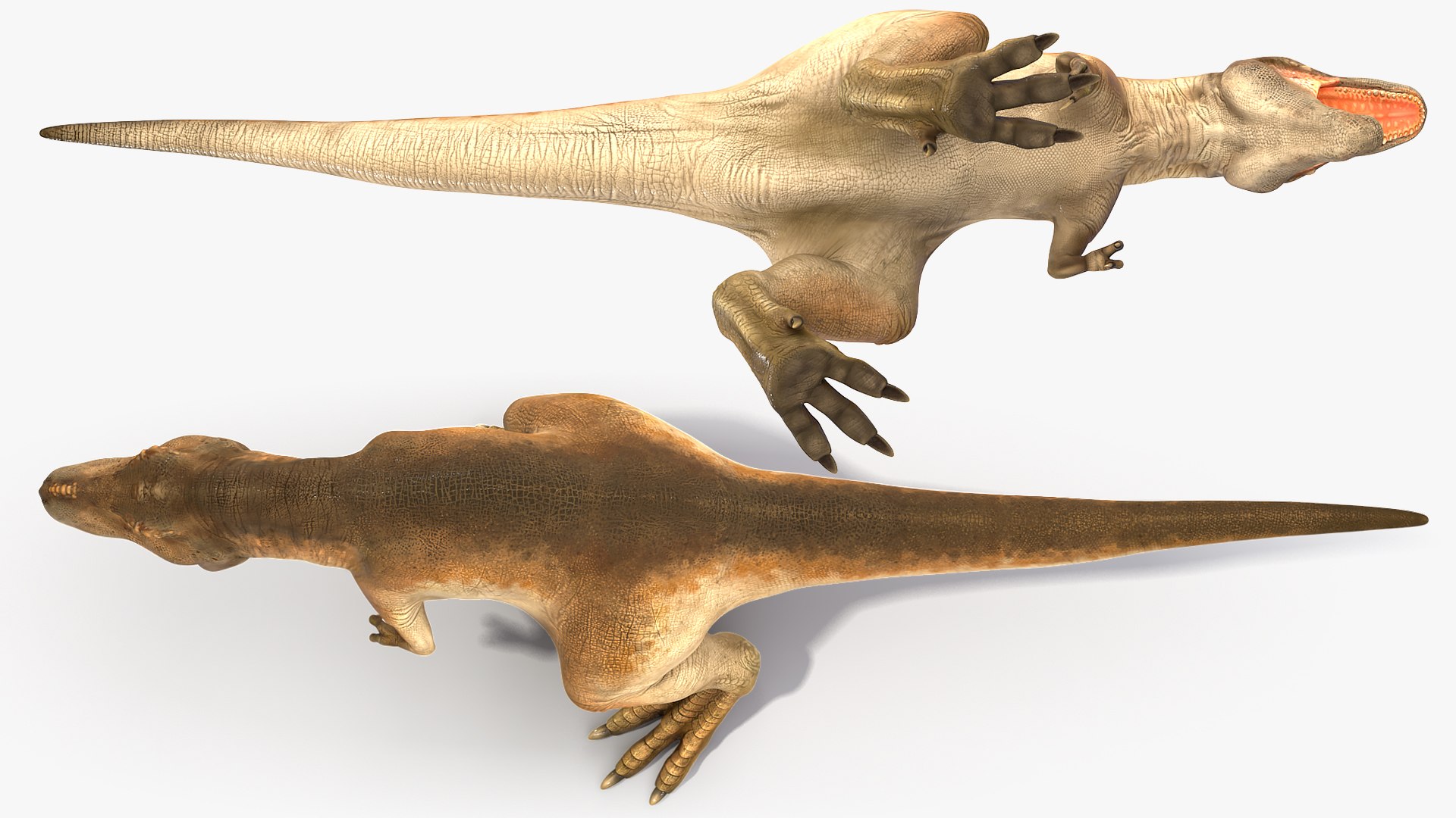 3D tyrannosaurus rex animal https://p.turbosquid.com/ts-thumb/U3/0Zl7ru/MS58qFec/animatedtyrannosaurusrexcollectionc4dmodel010/jpg/1593199422/1920x1080/fit_q87/a4bfde80fbd06ff6edf6ea1c9d4965804310c0e1/animatedtyrannosaurusrexcollectionc4dmodel010.jpg