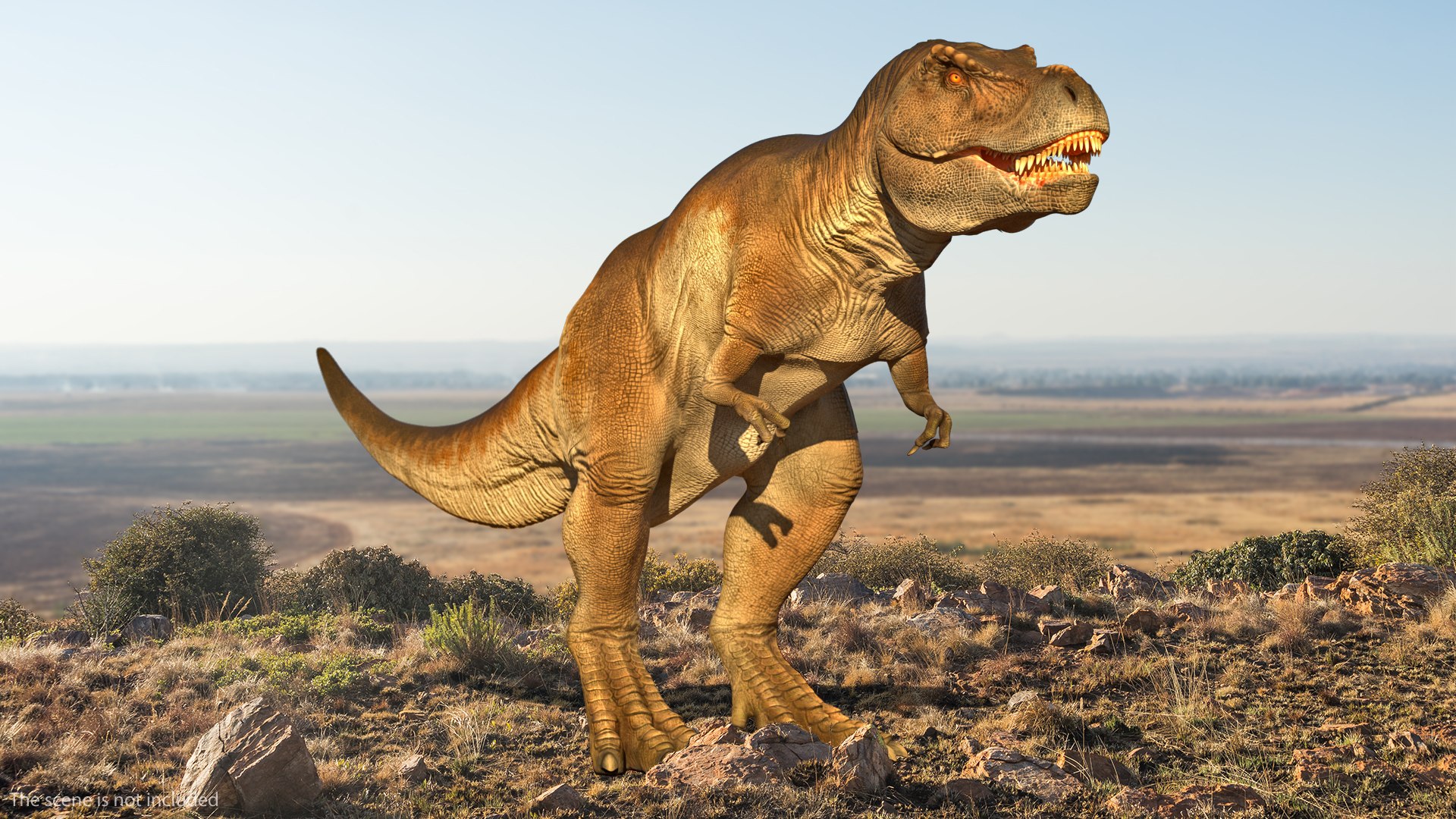 3D tyrannosaurus rex animal https://p.turbosquid.com/ts-thumb/U3/0Zl7ru/V5Ic5xEO/animatedtyrannosaurusrexcollectionc4dmodel011/jpg/1593199422/1920x1080/fit_q87/06be068478d1b98cb93d05ca2ab75257816e71fd/animatedtyrannosaurusrexcollectionc4dmodel011.jpg