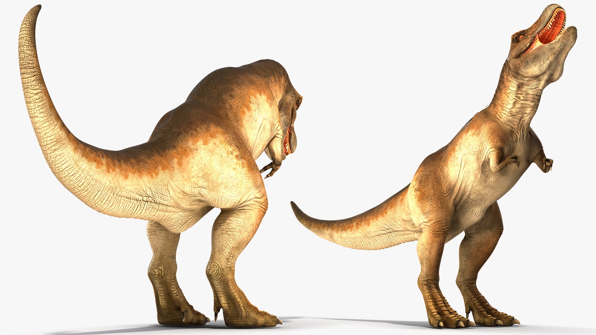 3D tyrannosaurus rex animal https://p.turbosquid.com/ts-thumb/U3/0Zl7ru/Y668TjAl/animatedtyrannosaurusrexcollectionc4dmodel033/jpg/1593199423/1920x1080/fit_q87/a261fea30655ae609ca9482615a54356d7224f61/animatedtyrannosaurusrexcollectionc4dmodel033.jpg