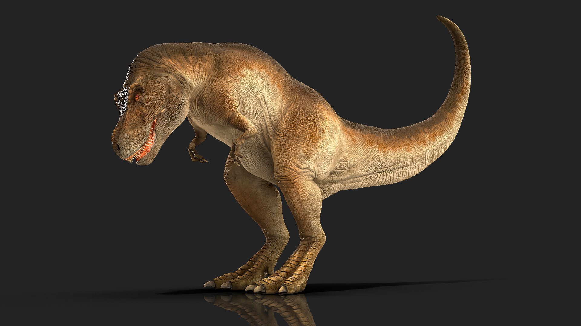 3D tyrannosaurus rex animal https://p.turbosquid.com/ts-thumb/U3/0Zl7ru/fdbWIakb/animatedtyrannosaurusrexcollectionc4dmodel030/jpg/1593199423/1920x1080/fit_q87/4345a1d50baf640971dda16f33b63cd8bba8c8e6/animatedtyrannosaurusrexcollectionc4dmodel030.jpg