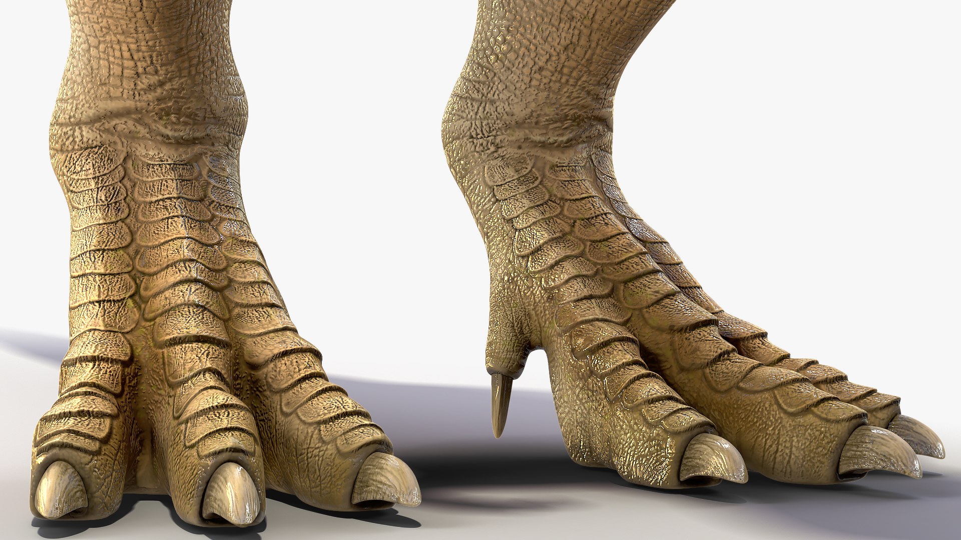 3D tyrannosaurus rex animal https://p.turbosquid.com/ts-thumb/U3/0Zl7ru/mc5B99ba/animatedtyrannosaurusrexcollectionc4dmodel018/jpg/1593199422/1920x1080/fit_q87/6ccf1fa9ed9b2c81a983e3fdc407079f80f3269f/animatedtyrannosaurusrexcollectionc4dmodel018.jpg