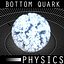 Bottom Quark