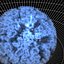 Bottom Quark