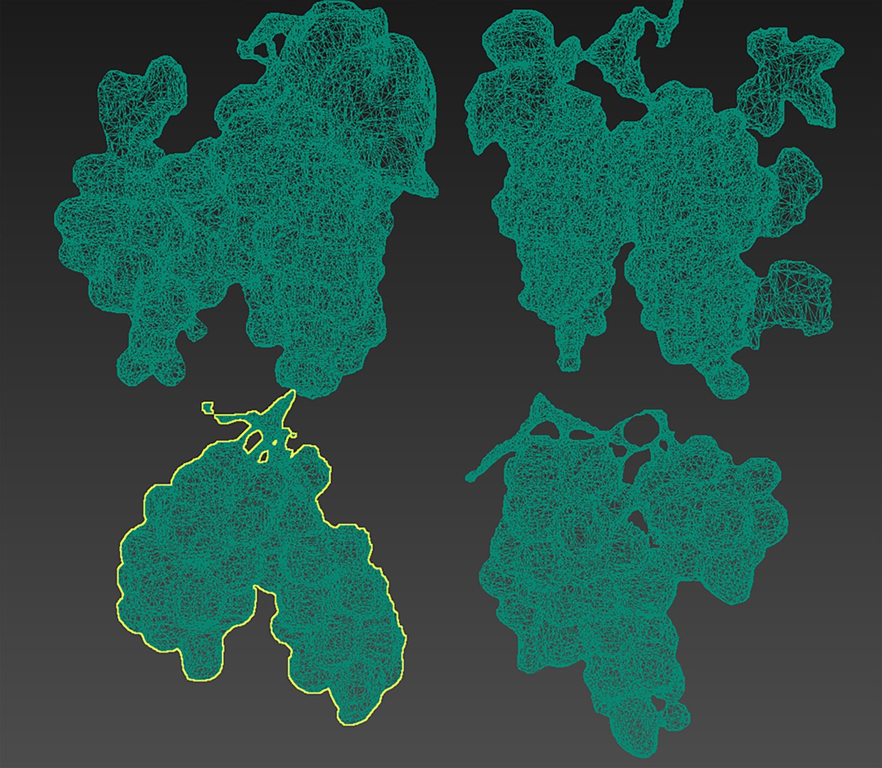 3D Grapes LP model https://p.turbosquid.com/ts-thumb/U3/AOneYK/55/667567/jpg/1687947702/1920x1080/fit_q87/cf69ea14112e2fb0a0f82880df14fe2c33c3aff6/667567.jpg