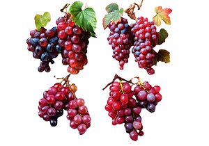 3D Grapes LP model