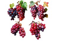 Grapes LP