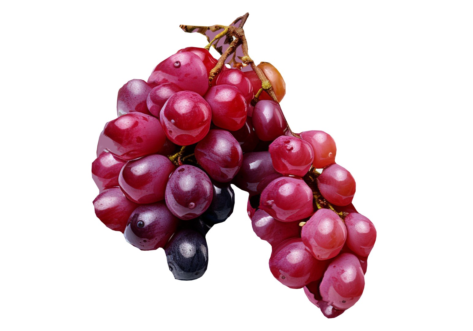 3D Grapes LP model https://p.turbosquid.com/ts-thumb/U3/AOneYK/Hm/5564564564/jpg/1687947705/1920x1080/fit_q87/6e35ffb79a54d9704c32d55f98e75b7ac270e9a8/5564564564.jpg