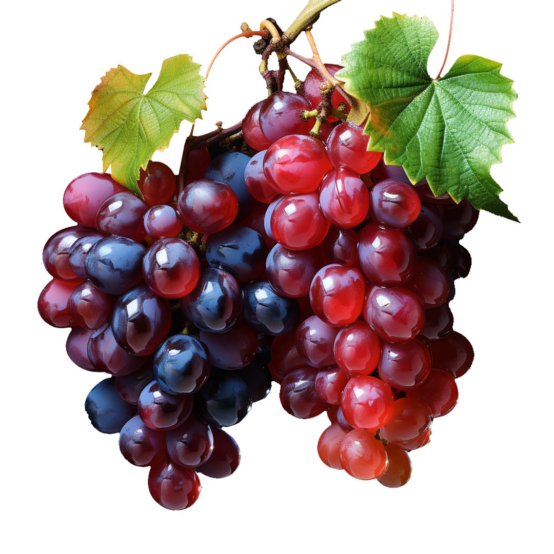 3D Grapes LP model https://p.turbosquid.com/ts-thumb/U3/AOneYK/MK/q25/png/1687947706/1920x1080/fit_q87/ce4629cb4270c928961d6d4a0dc67b1e78282ad3/q25.jpg