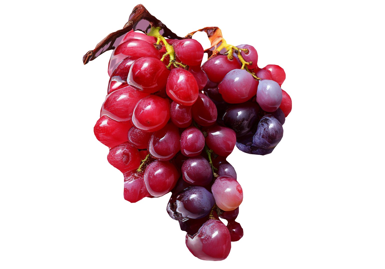 3D Grapes LP model https://p.turbosquid.com/ts-thumb/U3/AOneYK/X3/89789786/jpg/1687947703/1920x1080/fit_q87/601bc99e8f4adda5ce4a49f0687d8e70843cc2bb/89789786.jpg