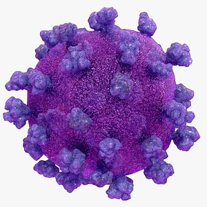 COVID-19 Virus