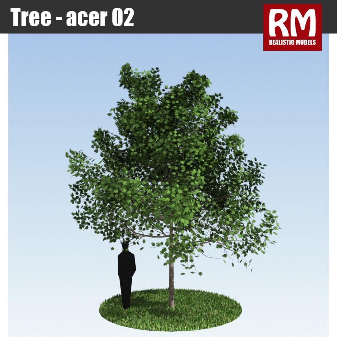 Max Tree