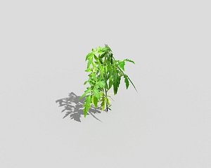 plant 3d 3ds
