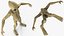 Humanoid Alien Creature