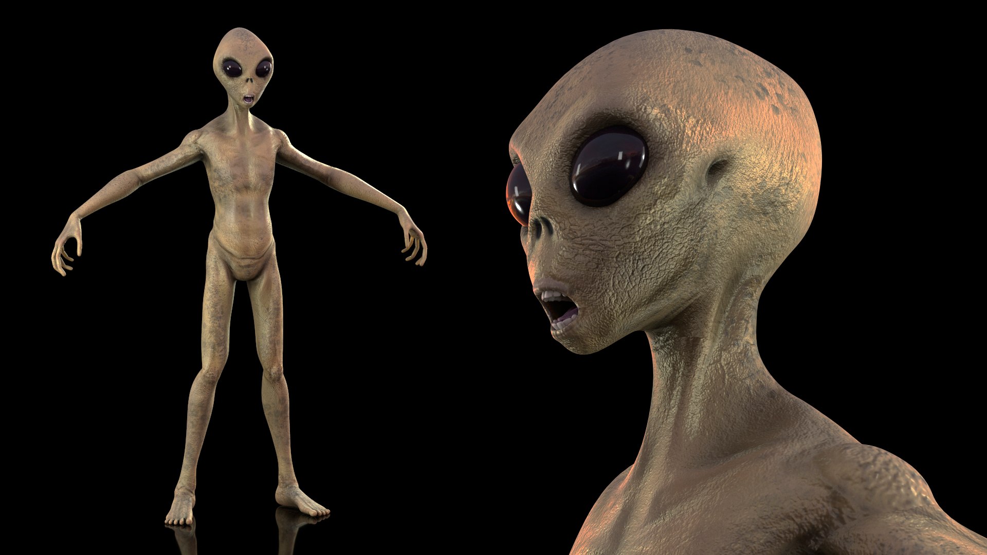 3D Humanoid Alien Creature model https://p.turbosquid.com/ts-thumb/U3/dQ0rhD/WJ/humanoidaliencreaturemb3dmodel002/jpg/1648022150/1920x1080/fit_q87/0b620d3d0bcf65ca7a3e4028779456c55fb6c87f/humanoidaliencreaturemb3dmodel002.jpg