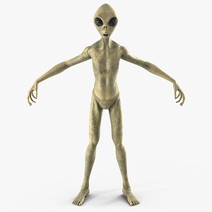Humanoid Alien Creature