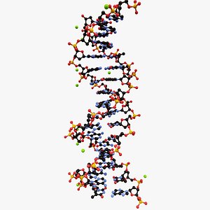 DNA Double-Helix