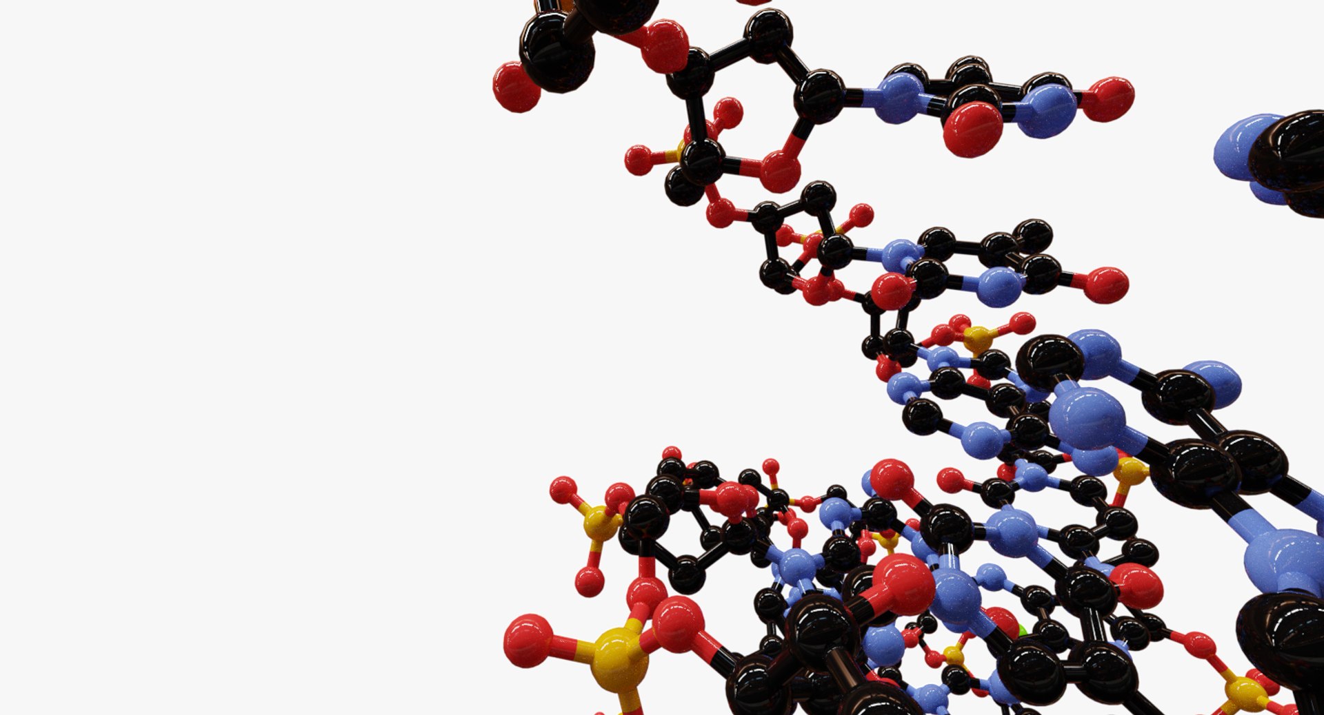 3D Model Double Helix Dna Molecule - TurboSquid 1161814