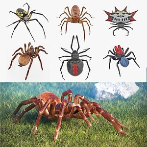 rigged spiders 2 3D