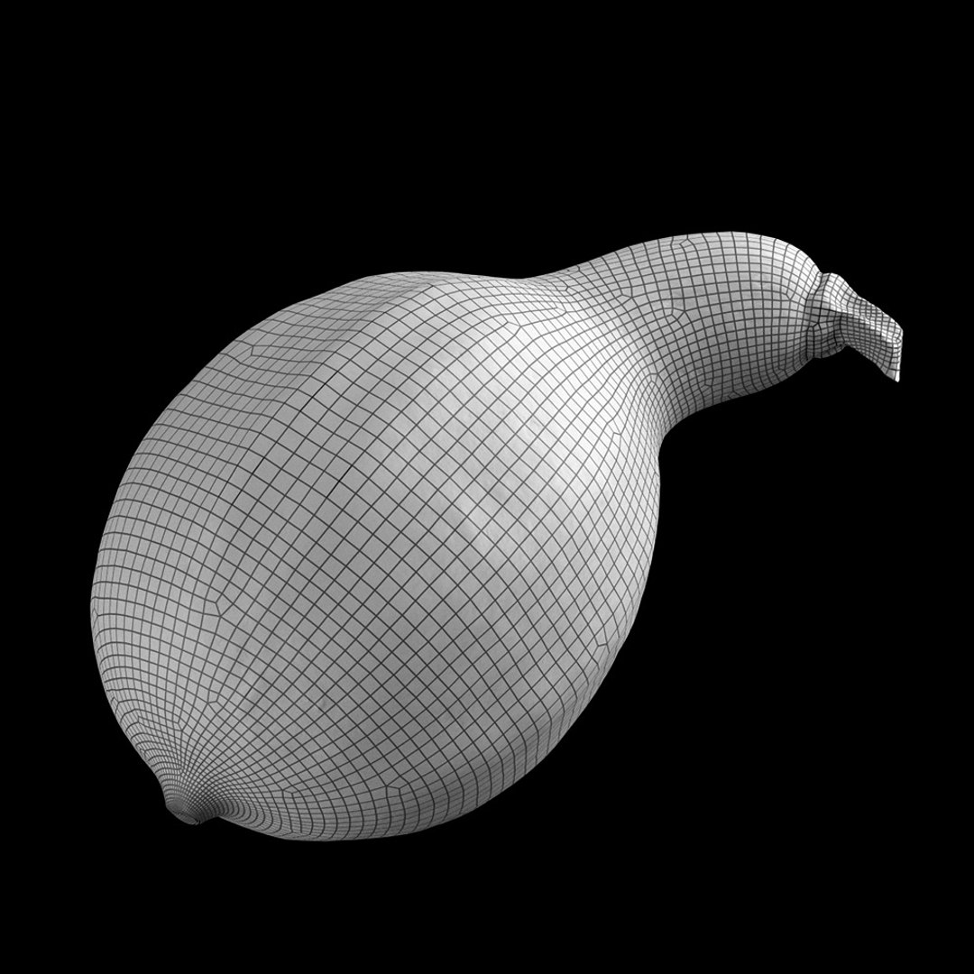 render squash fbx https://p.turbosquid.com/ts-thumb/U4/3FuitC/ph7yl3UP/squash3_wire/jpg/1488546698/1920x1080/fit_q87/50e5d5639e41be08ab6a0d5695ac65dbd283561a/squash3_wire.jpg