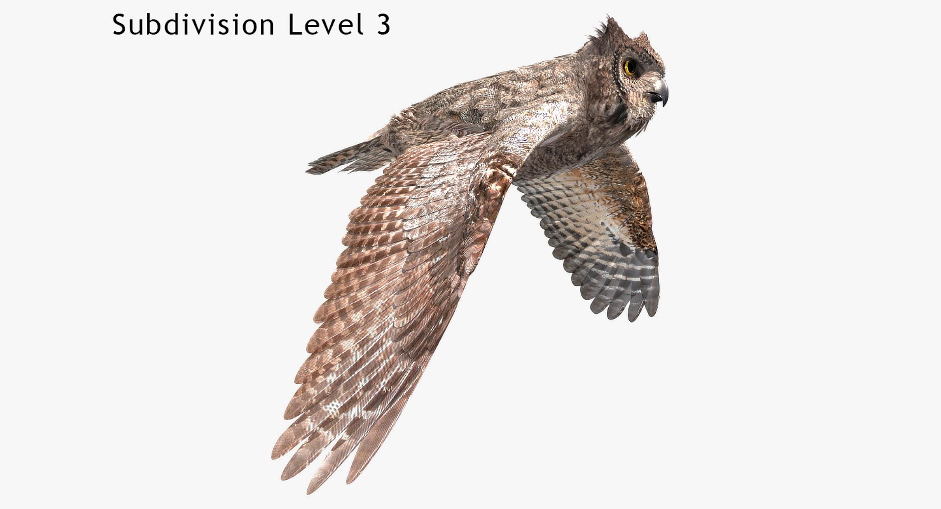great horned owl 3D model https://p.turbosquid.com/ts-thumb/U4/3jLj1f/ACaWyfTD/ghosingles1480x800_05a/jpg/1516496085/1920x1080/fit_q87/309073958cee128b17ce8f2b49975456b8929ab5/ghosingles1480x800_05a.jpg