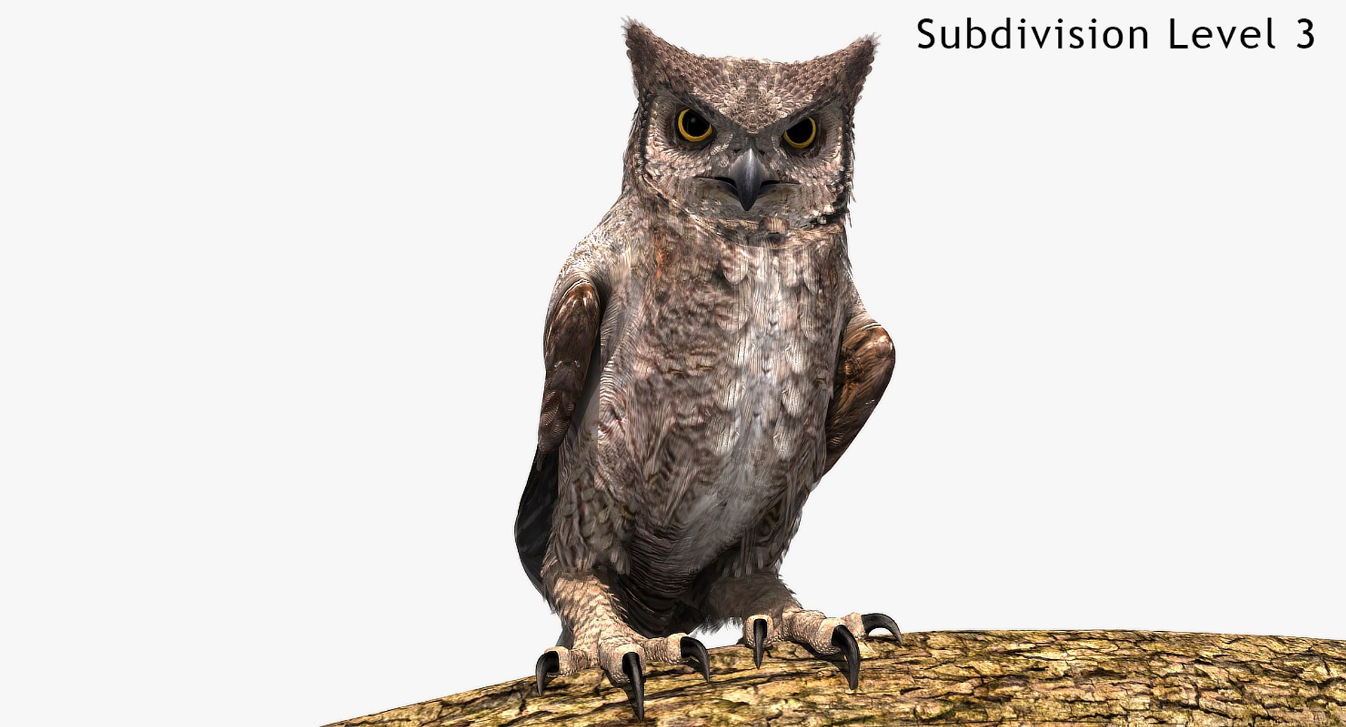 Great Horned Owl T-Pose 3D, Incl. animal & bird - Envato Elements