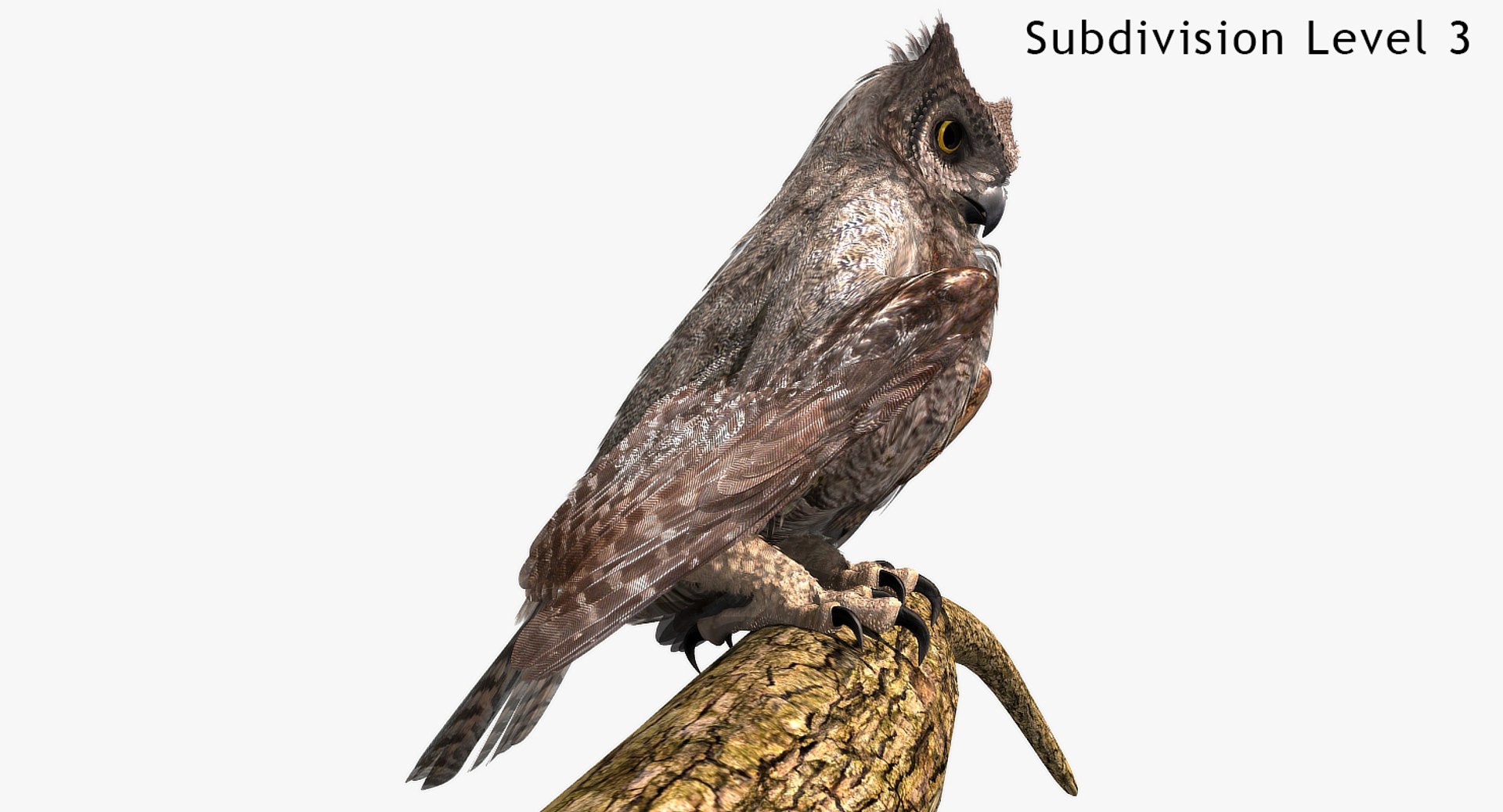 great horned owl 3D model https://p.turbosquid.com/ts-thumb/U4/3jLj1f/LHEskXzI/ghosingles1480x800_04a/jpg/1516495999/1920x1080/fit_q87/76460125c6caf7f817ecb579df239b370b24cf92/ghosingles1480x800_04a.jpg