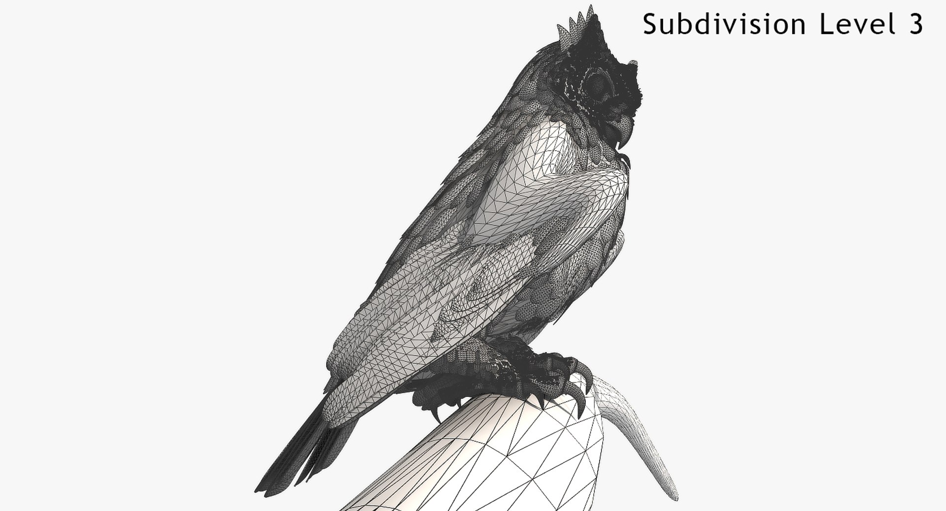 great horned owl 3D model https://p.turbosquid.com/ts-thumb/U4/3jLj1f/Q6TpIRTa/ghosingles1480x800_04b/jpg/1516495999/1920x1080/fit_q87/f46152b9d174cbc411110aa64b32c037a4d75b94/ghosingles1480x800_04b.jpg