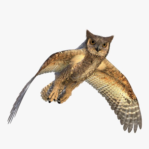 great horned owl 3D model