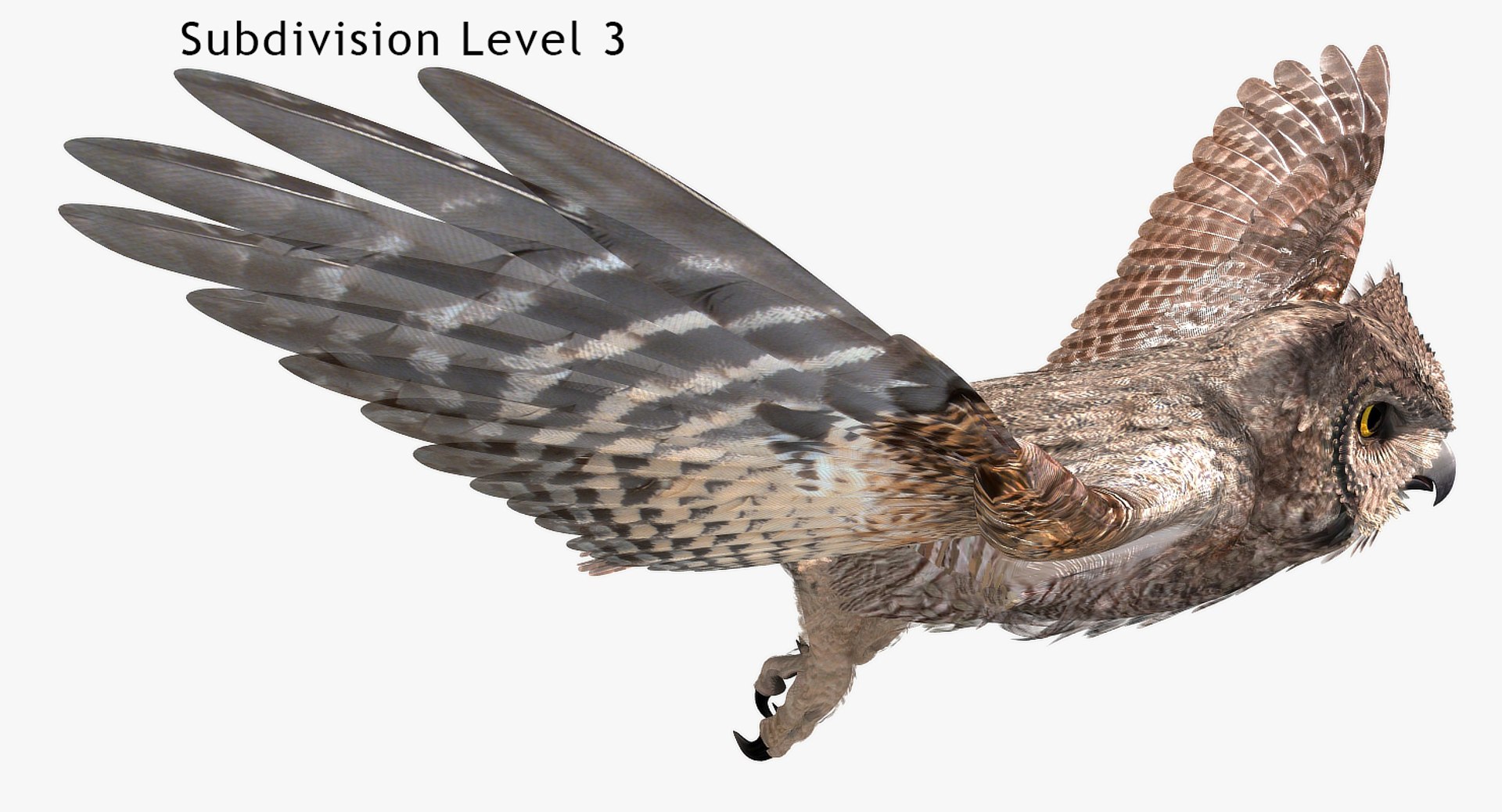 great horned owl 3D model https://p.turbosquid.com/ts-thumb/U4/3jLj1f/if7uJy43/ghosingles1480x800_06a/jpg/1516496085/1920x1080/fit_q87/31fcce78a307b60db8c94de7d0a1dc58fef4a08d/ghosingles1480x800_06a.jpg